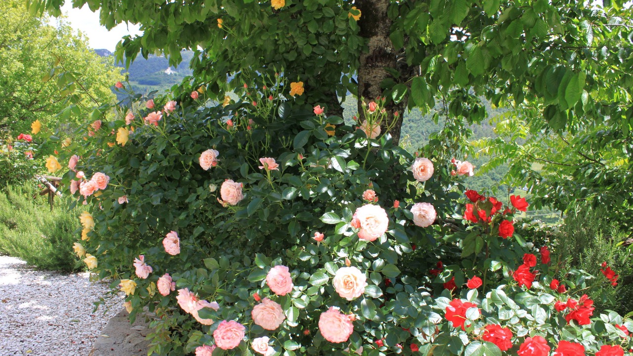 Photo of Outdoor in Spoleto