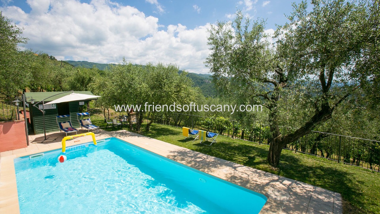 Photo of Outdoor in Mologno