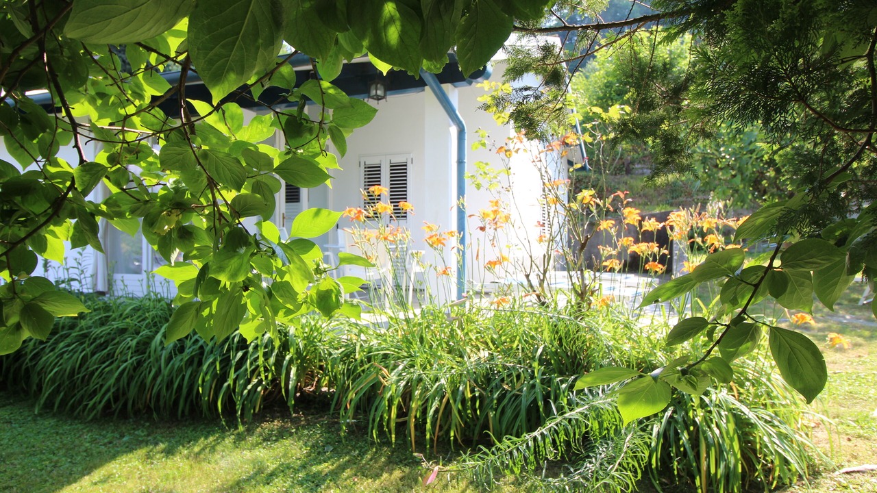 Photo of Outdoor in Ameno