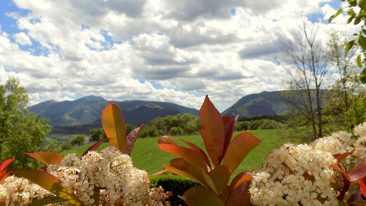 Photo of Outdoor in Cagli