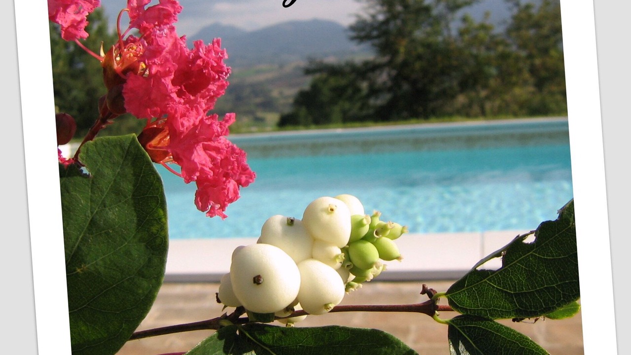 Photo of Others in Cagli