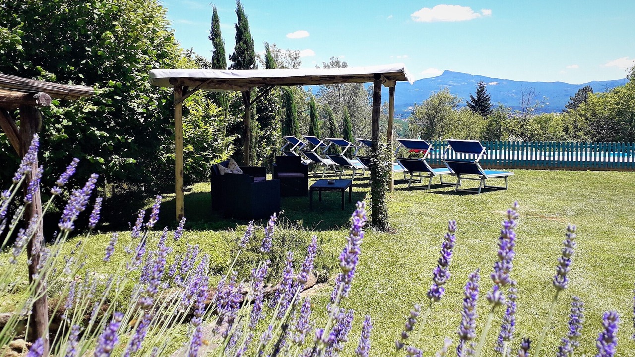 Photo of Outdoor in Starda