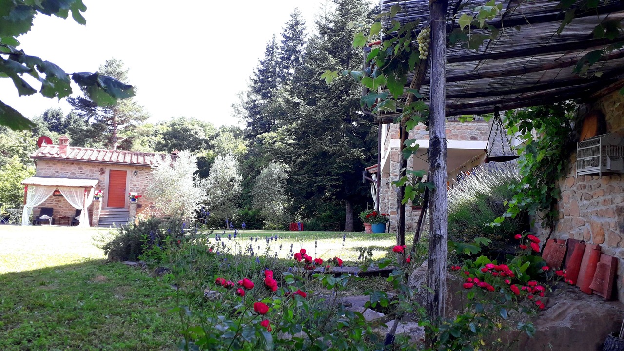 Photo of Outdoor in Starda