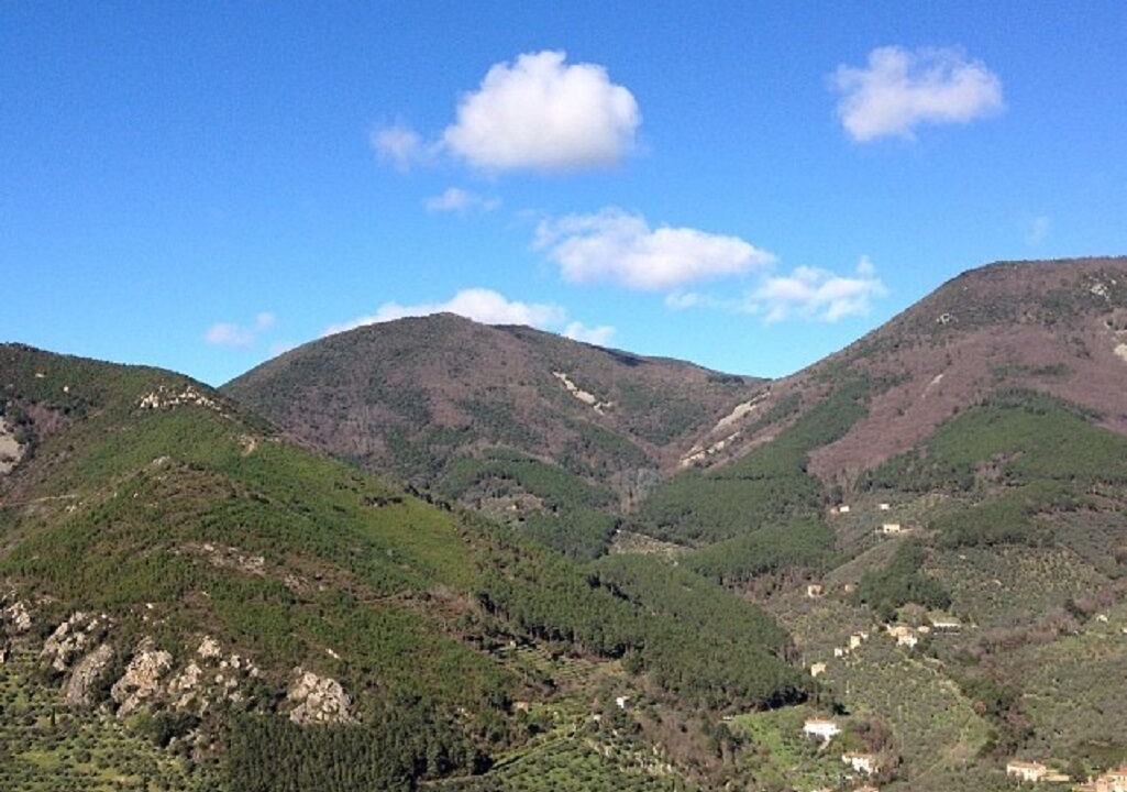 Photo of Outdoor in Calci