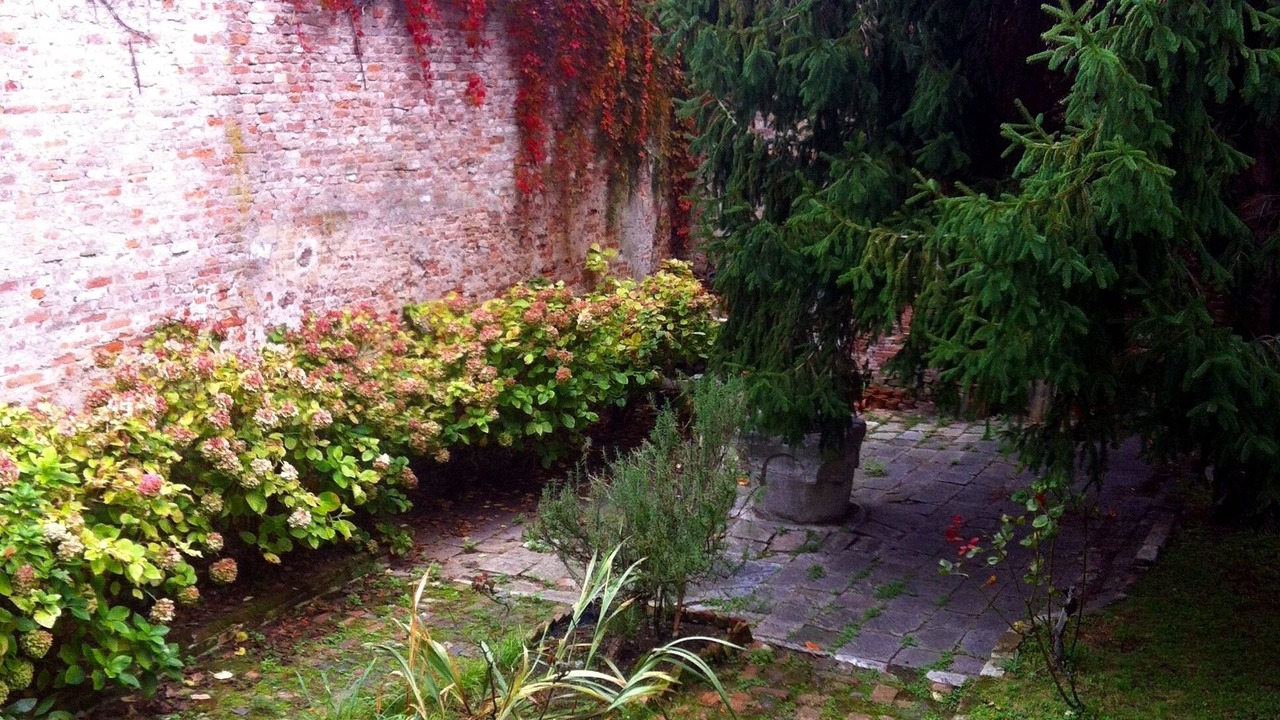 Photo of Outdoor in Castello