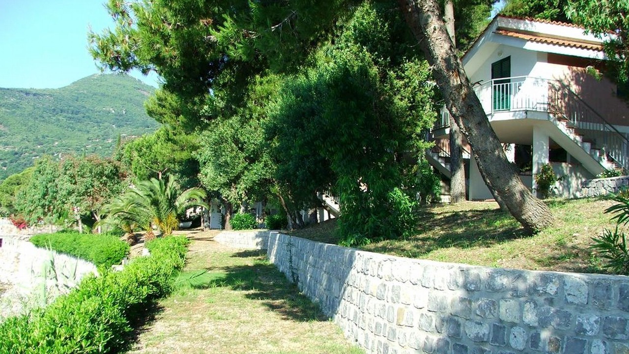 Photo of Outdoor in Scario