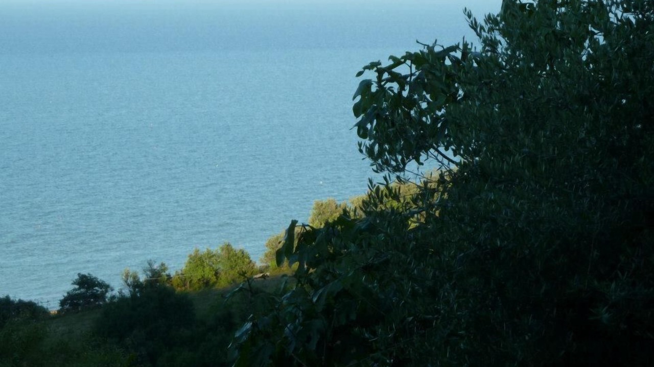Photo of Others in Cupra Marittima