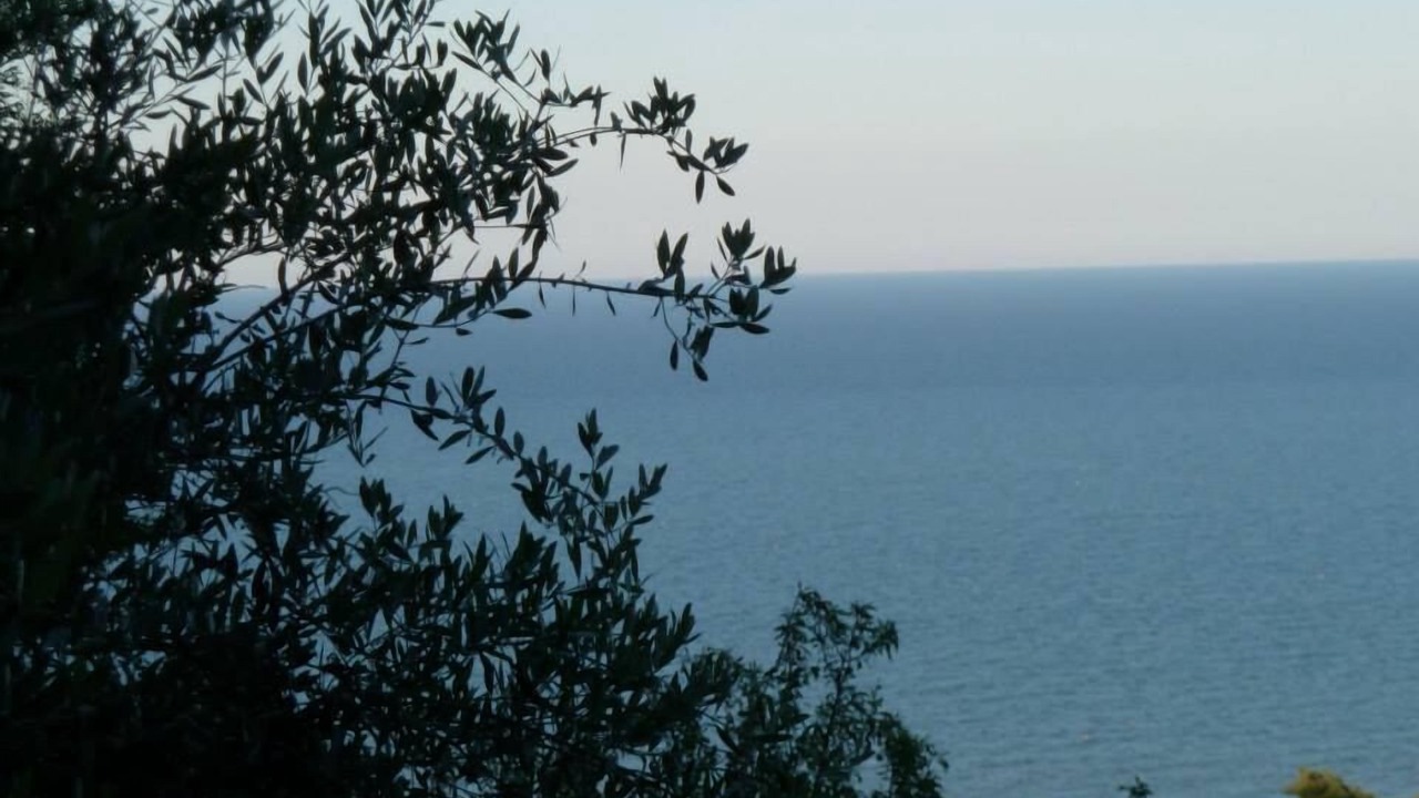 Photo of Others in Cupra Marittima