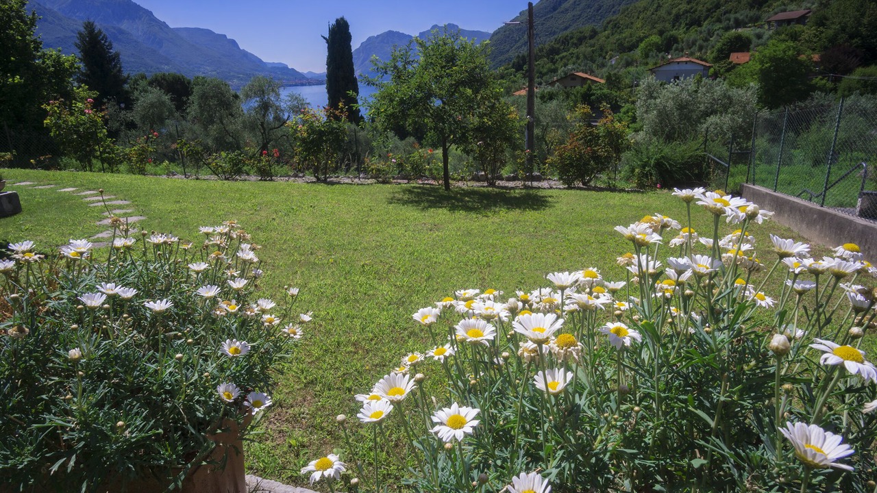Photo of Outdoor in Visgnola
