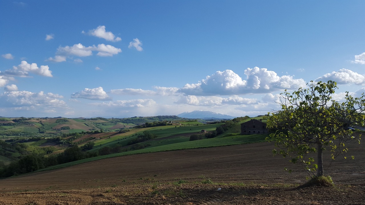 Photo of Outdoor in Monterubbiano