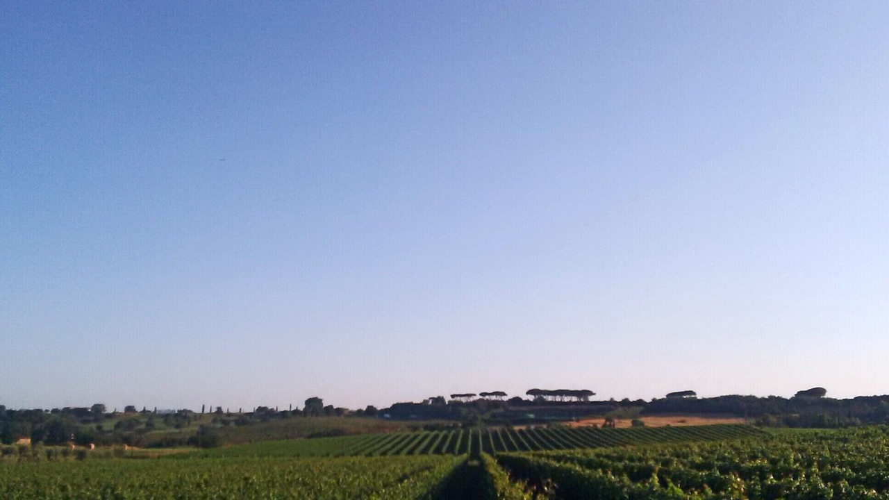 Photo of Others in Rome Province