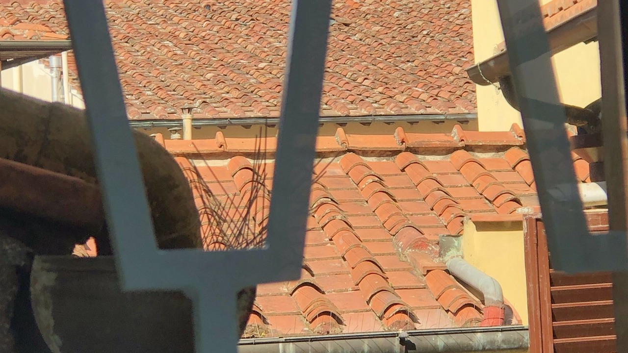 Photo of Others in San Giovanni