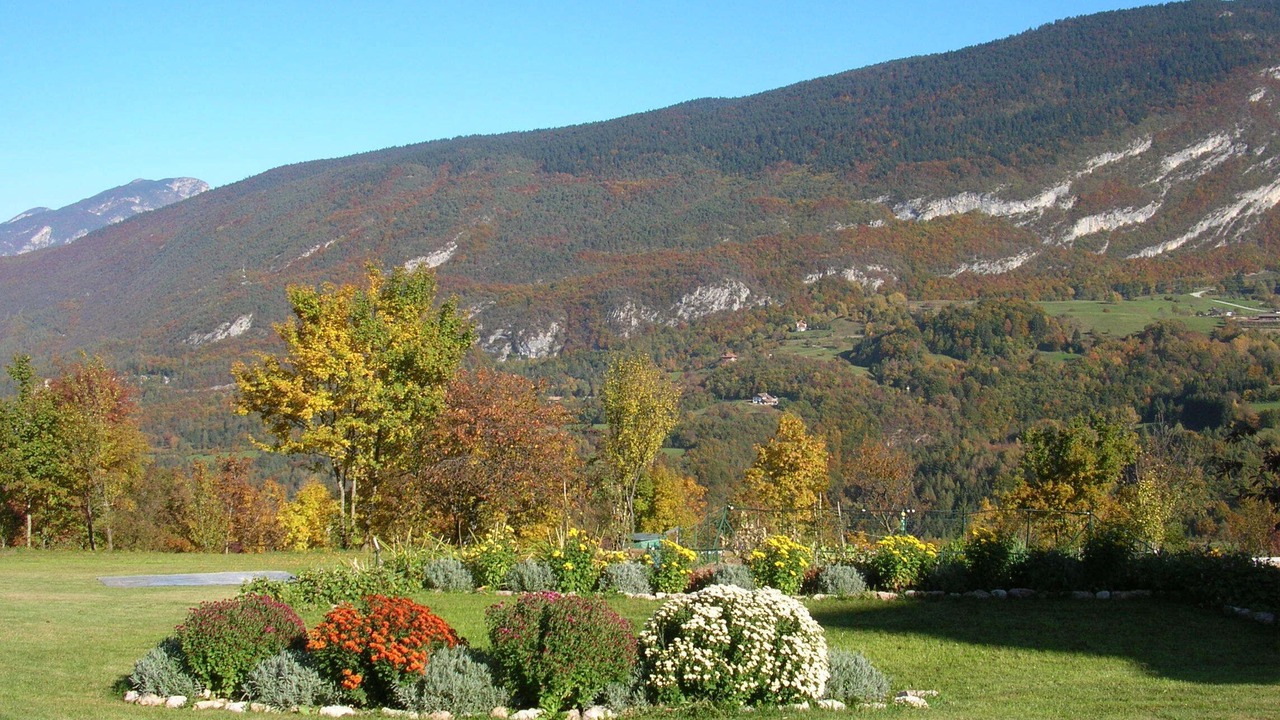 Photo of Outdoor in Cavedago