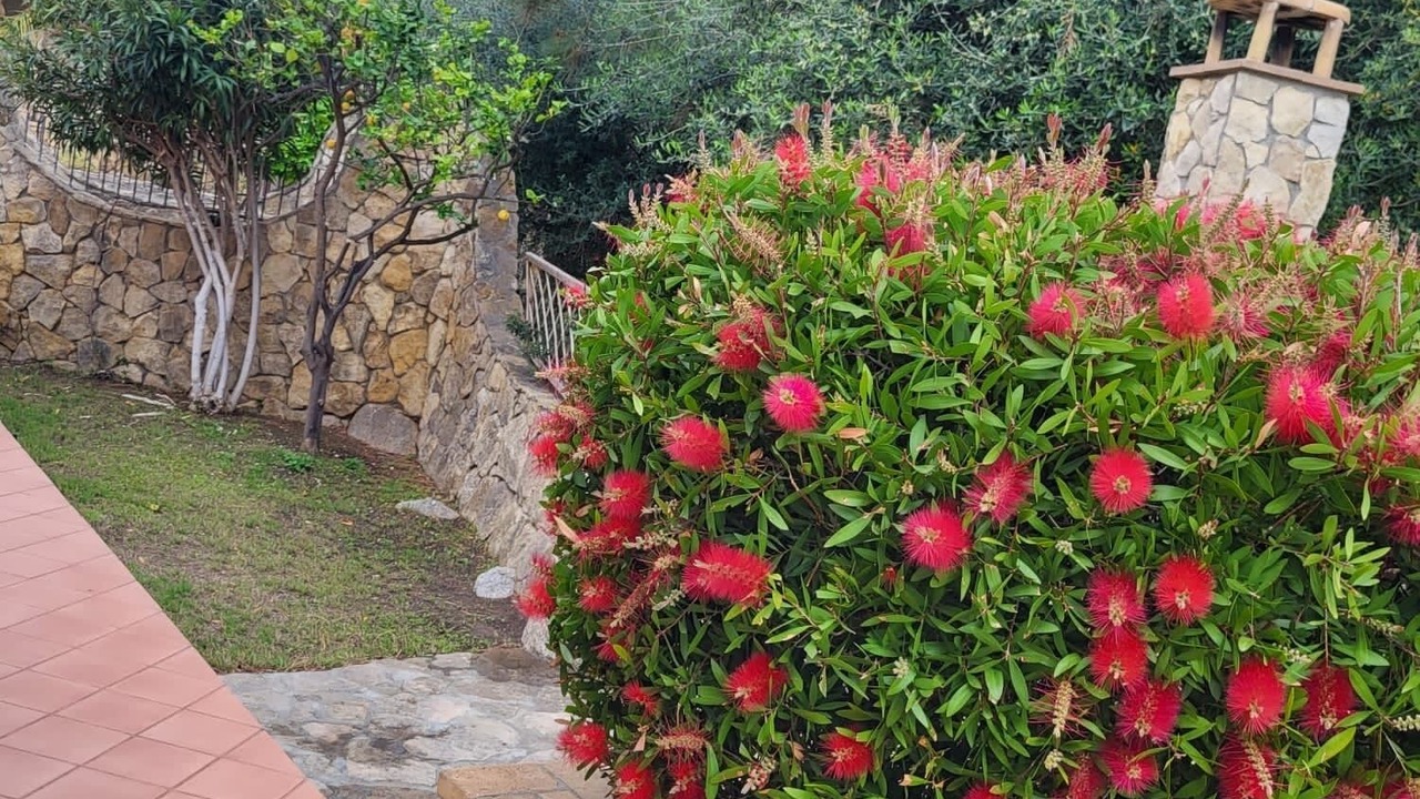 Photo of Outdoor in Quartu Sant'Elena