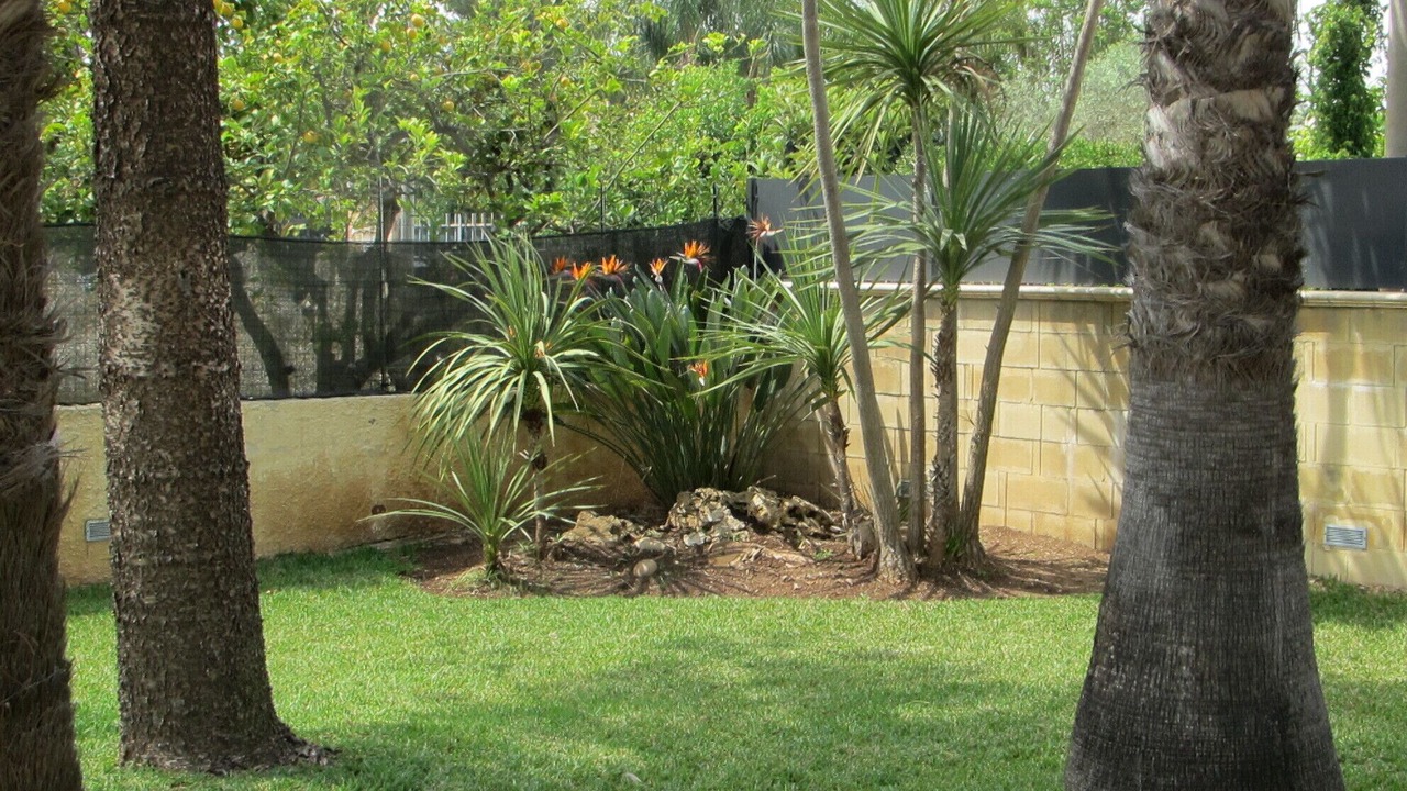 Photo of Outdoor in Arenella