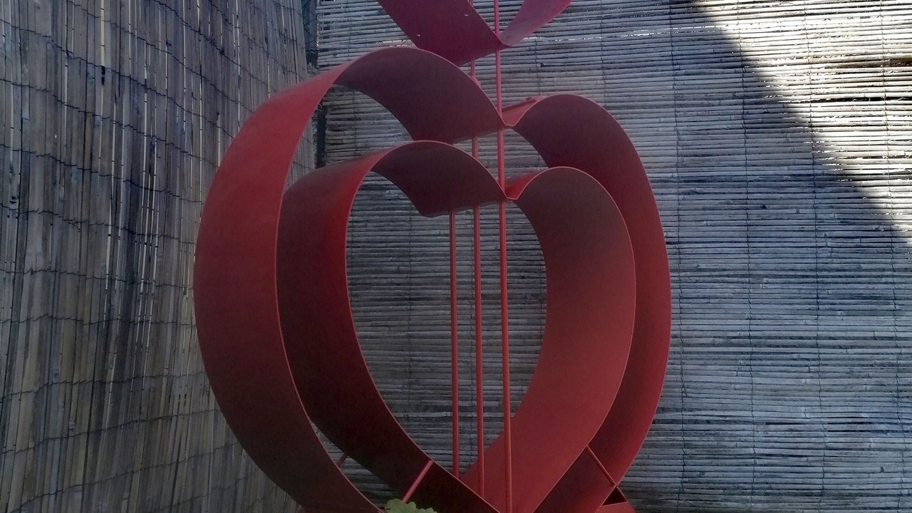 Photo of Outdoor in Verbania