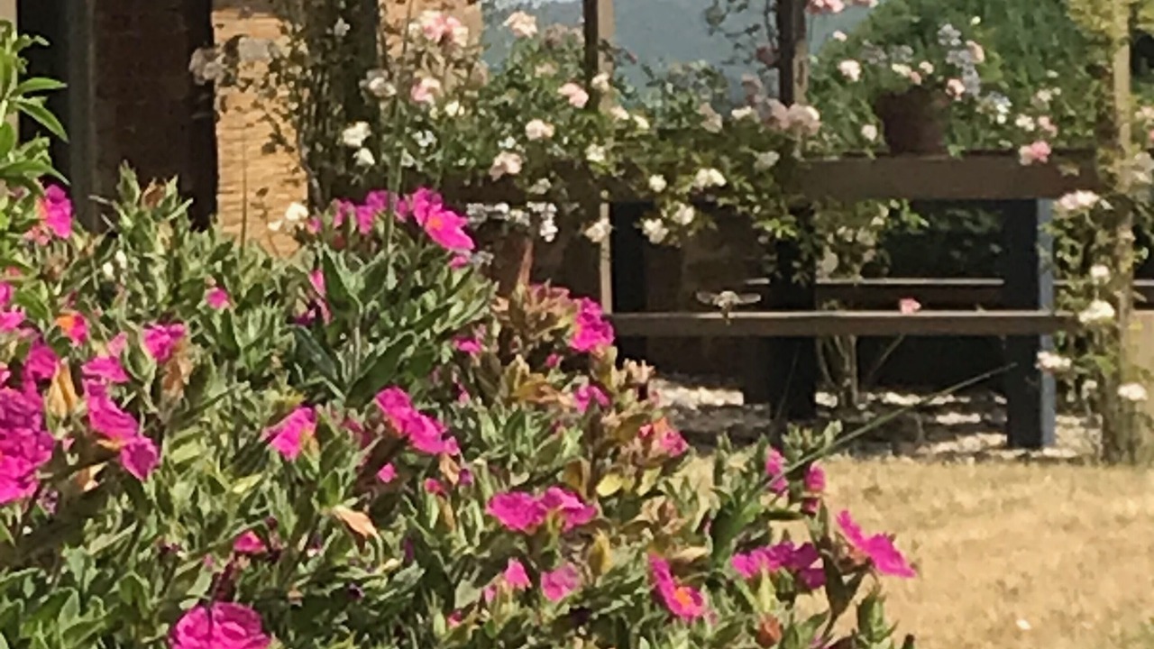 Photo of Outdoor in Bollano