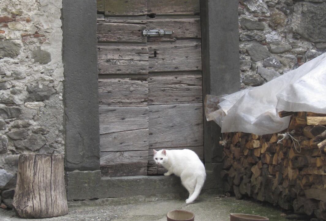 Photo of Others in San Rocco in Turrite