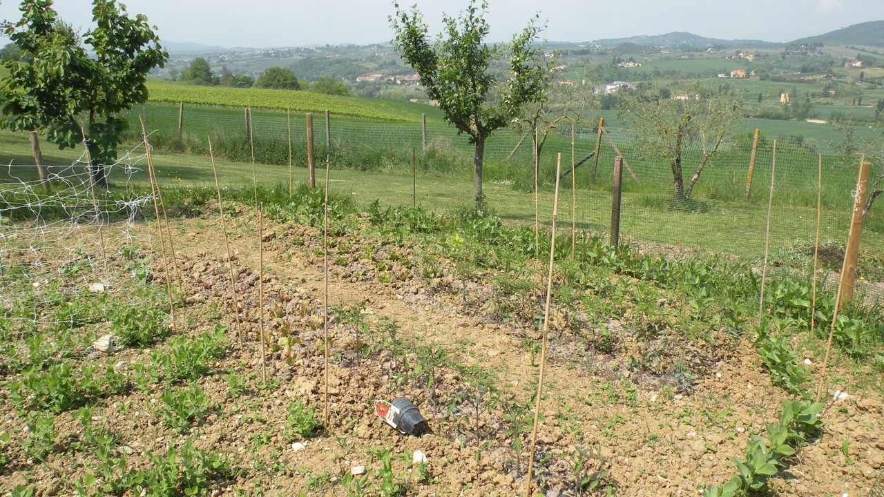 Photo of Outdoor in Montespertoli