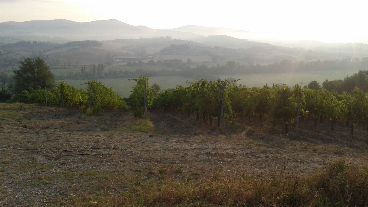 Photo of Outdoor in Montespertoli