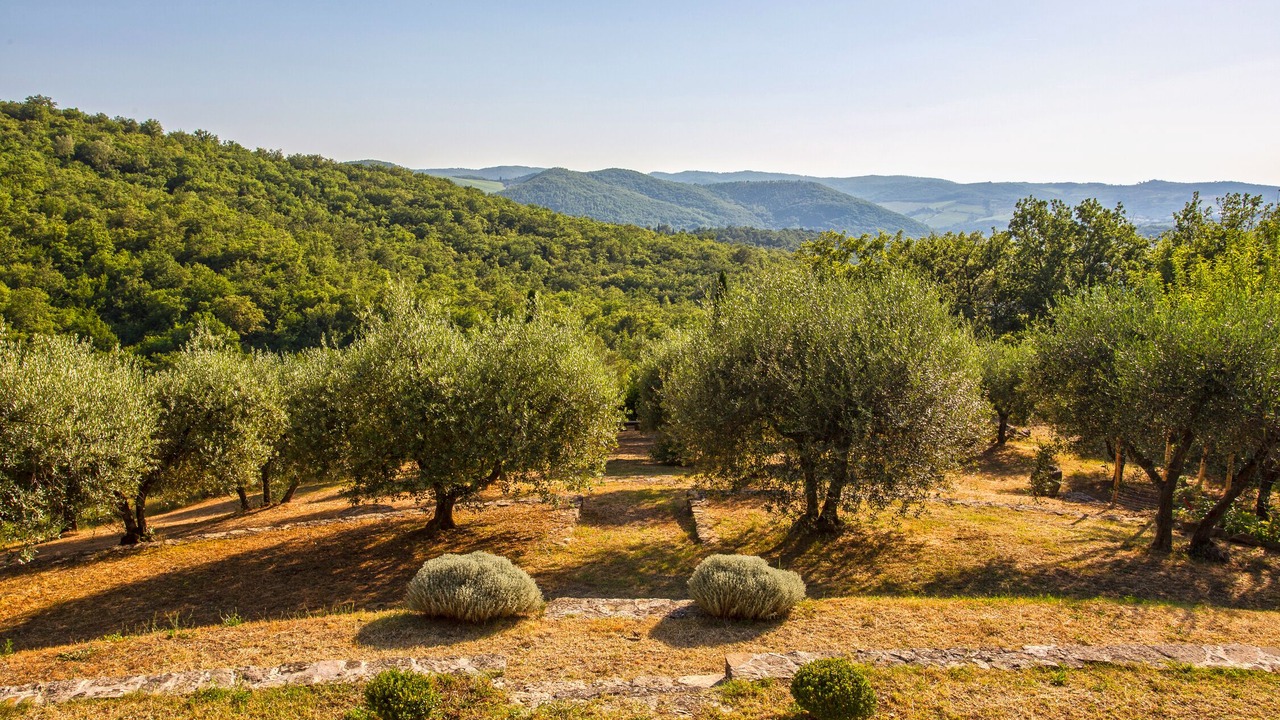 Photo of Outdoor in Radda in Chianti