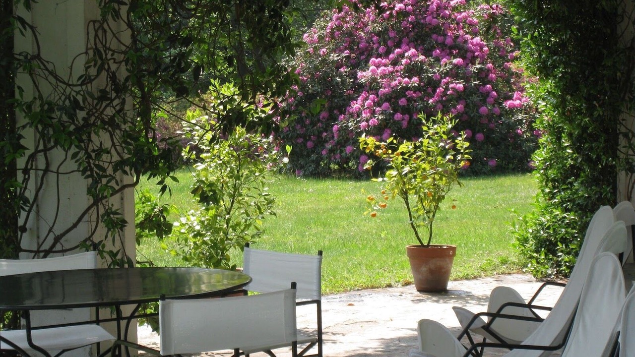 Photo of Outdoor in Dormelletto