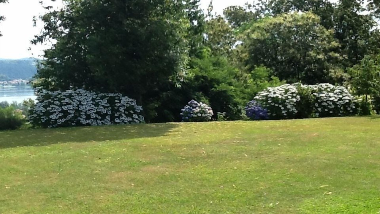 Photo of Outdoor in Dormelletto