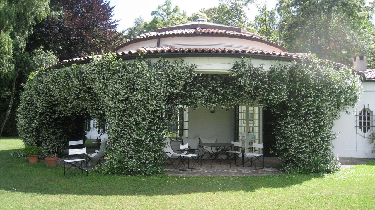 Photo of Outdoor in Dormelletto