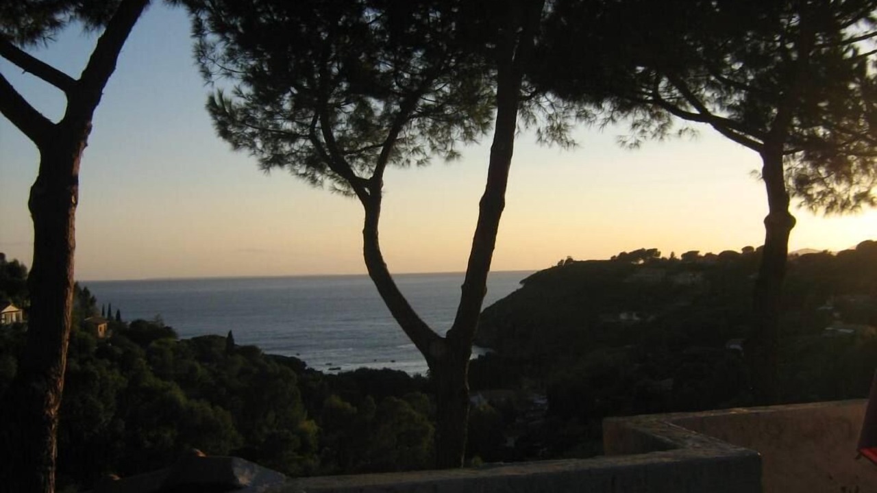 Photo of Others in Morcone