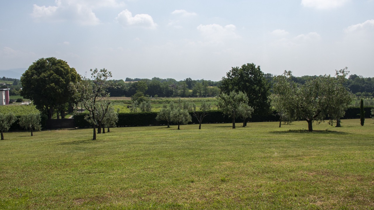 Photo of Outdoor in Erbusco