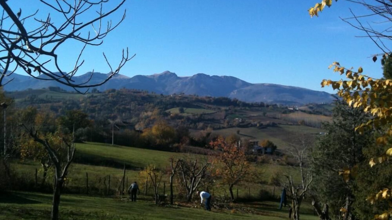 Photo of Others in Amandola