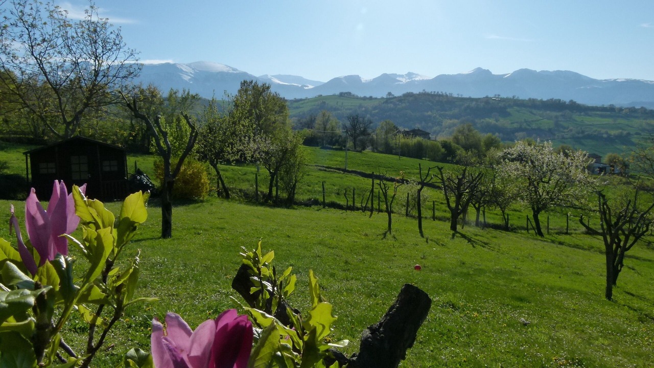 Photo of Outdoor in Amandola