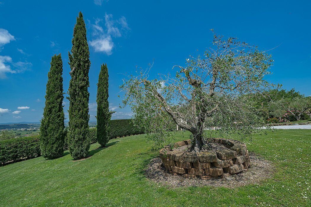 Photo of Outdoor in Le Piazze