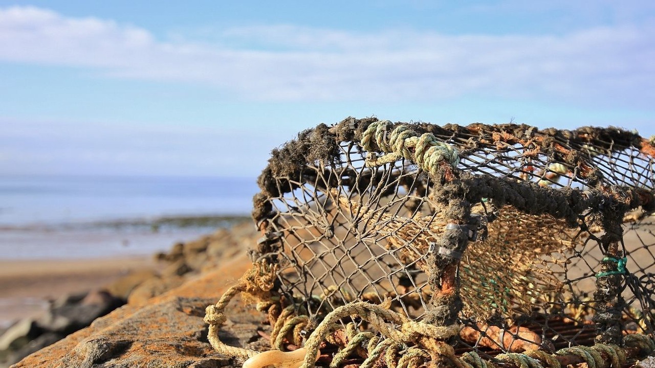 Photo of Others in Lower Largo