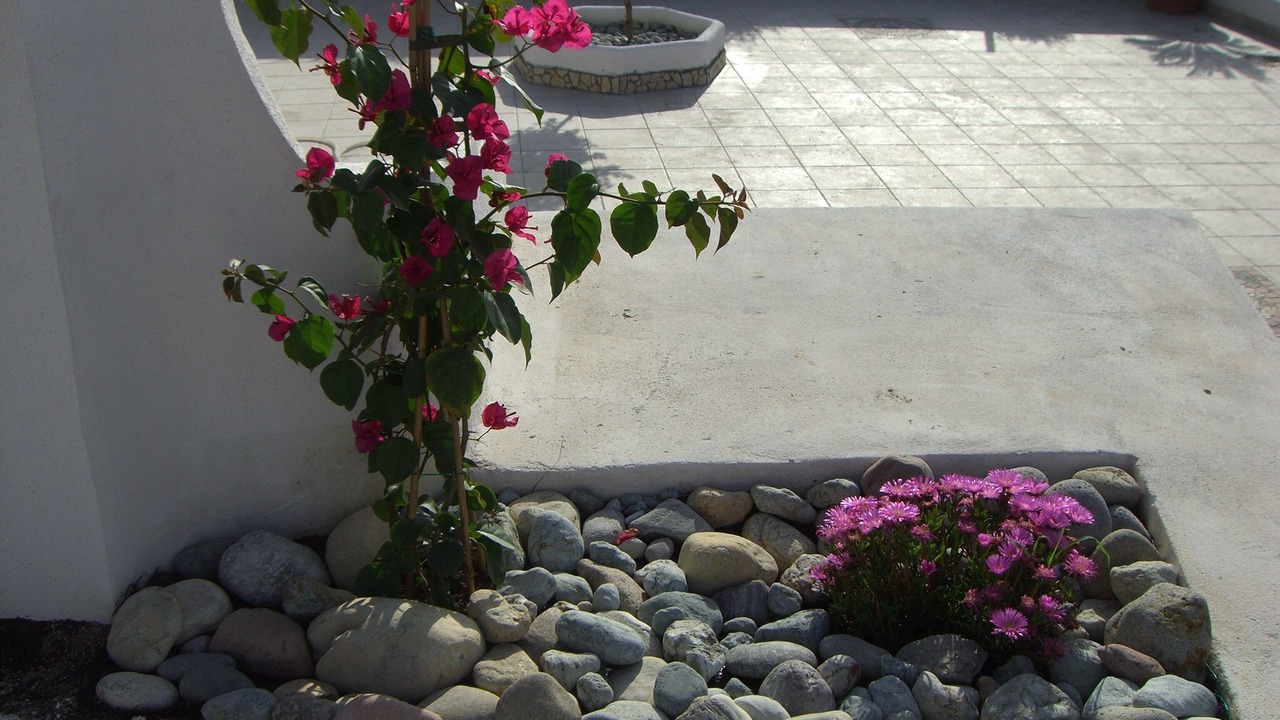 Photo of Outdoor in Ponza