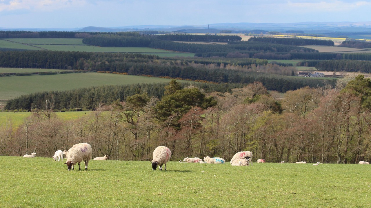 Photo of Outdoor in Jedburgh