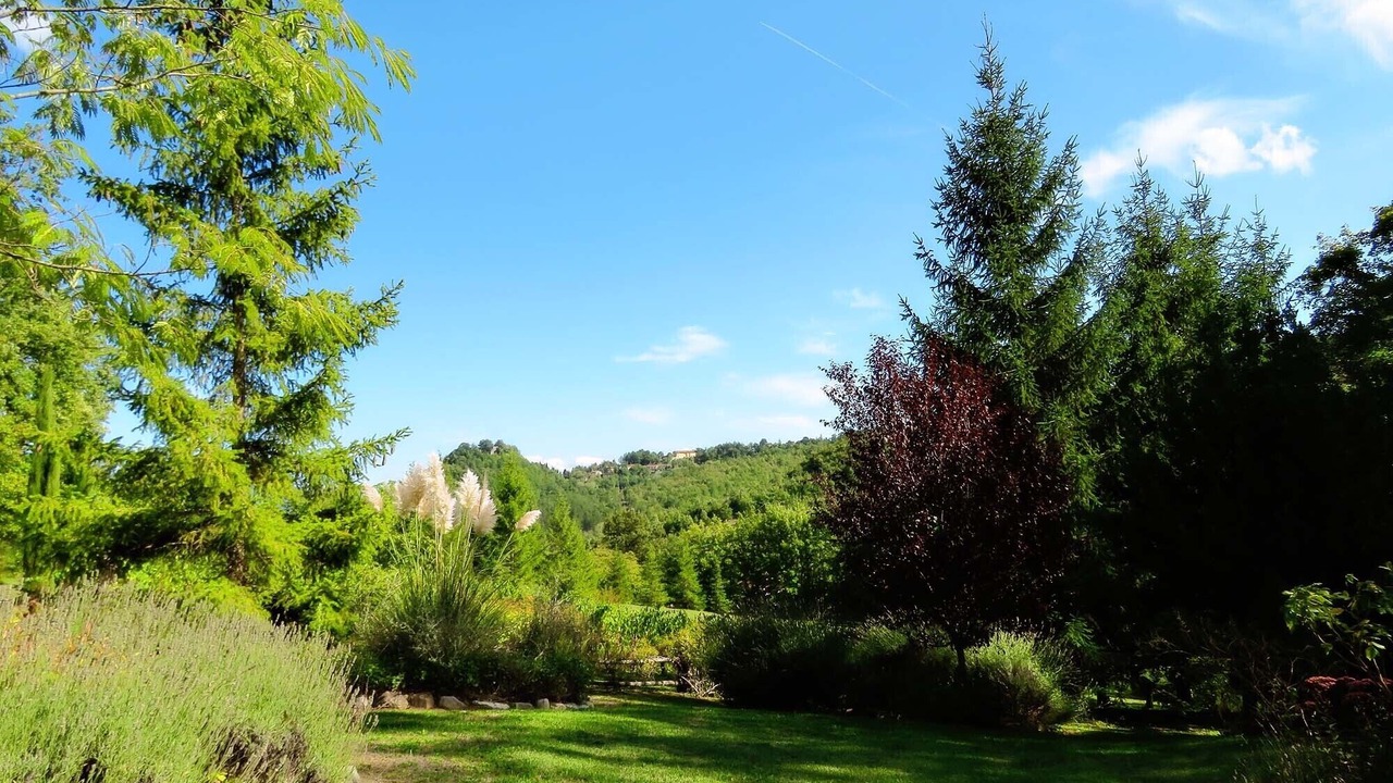 Photo of Outdoor in Caprese Michelangelo