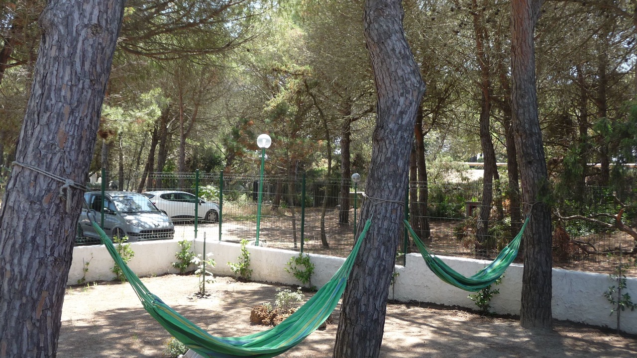 Photo of Outdoor in Platamona
