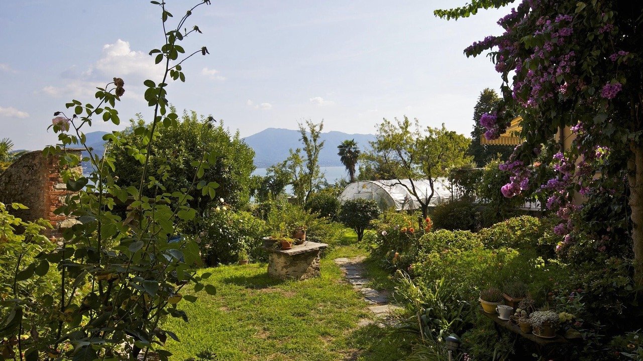 Photo of Outdoor in Cannobio