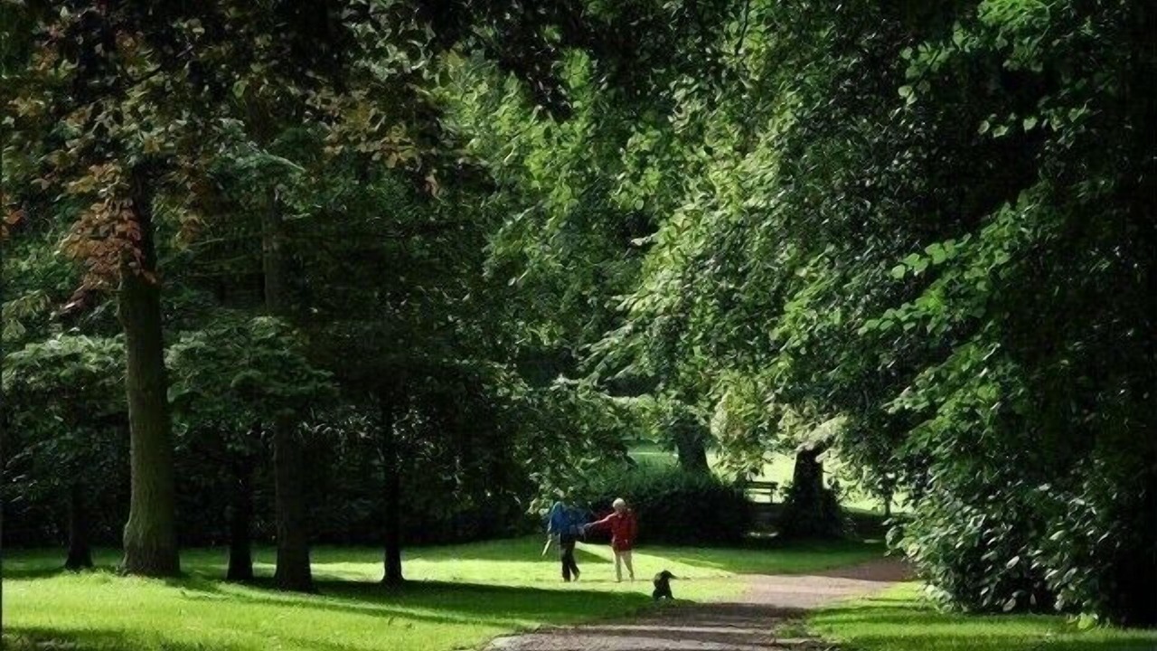 Photo of Others in Lisburn