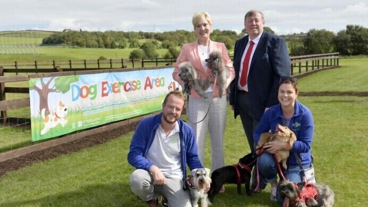 Photo of Others in Lisburn