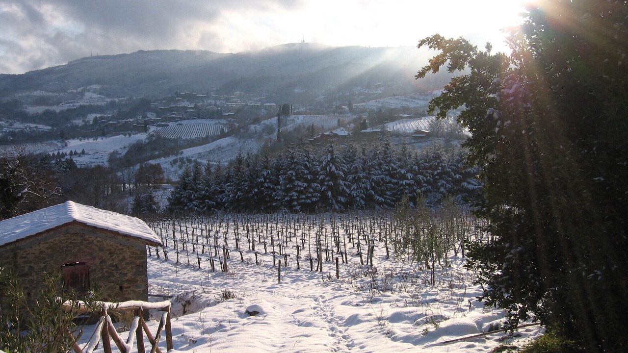 Photo of Others in Lucolena