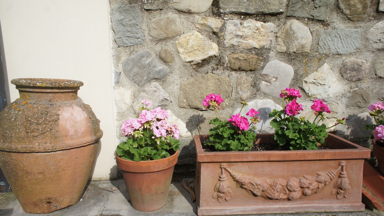 Photo of Outdoor in Ciliegi