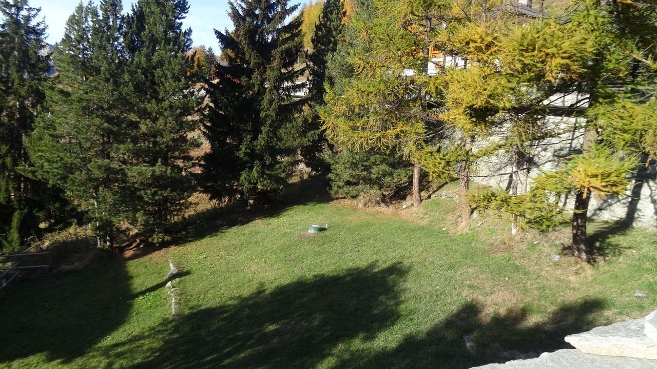 Photo of Outdoor in Champlan