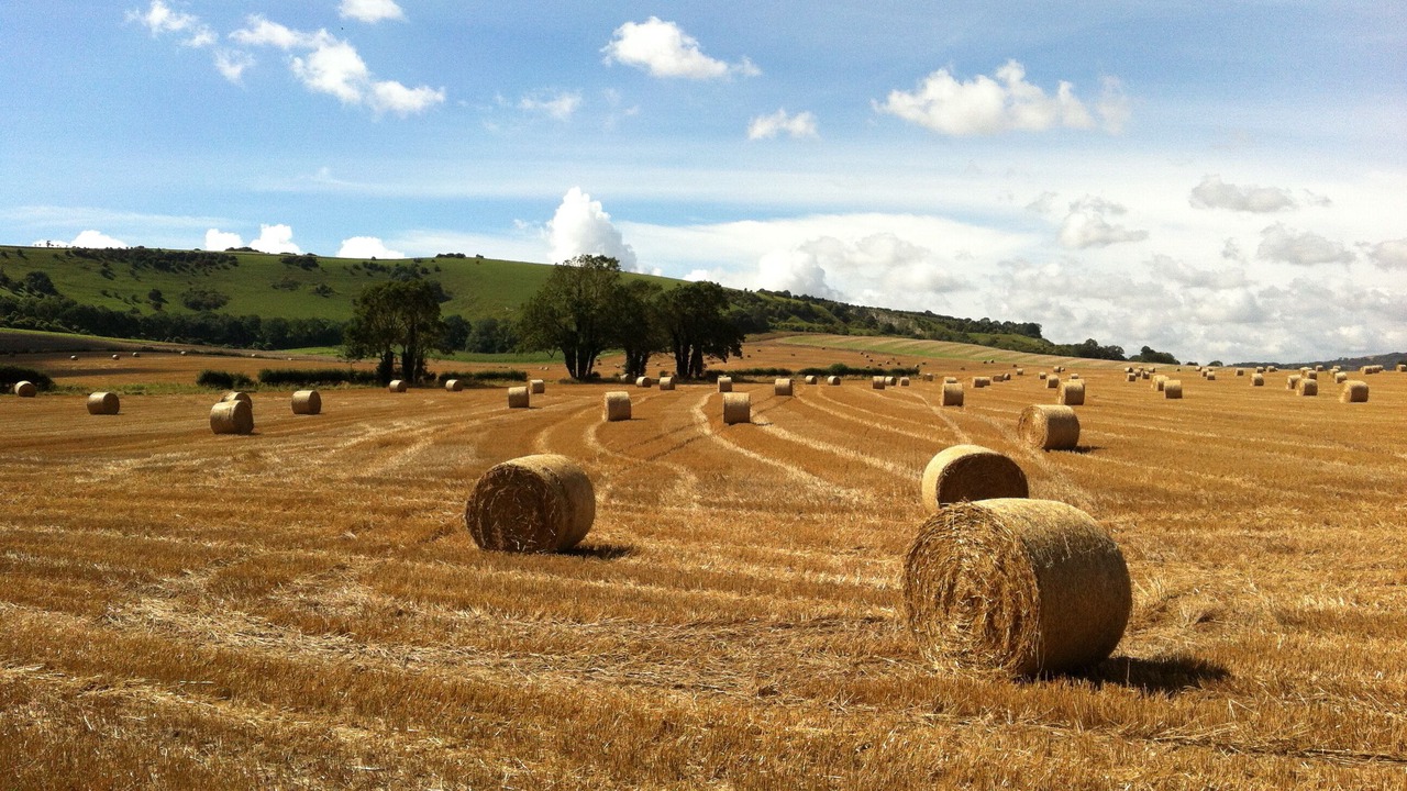 Photo of Others in Piltdown