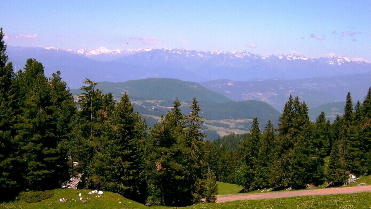 Photo of Others in Obereggen