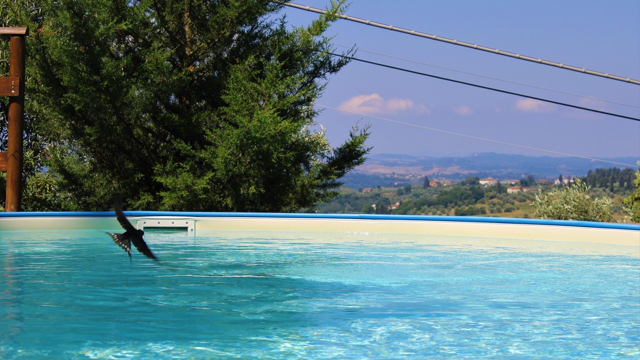 Photo of Outdoor in La Torre