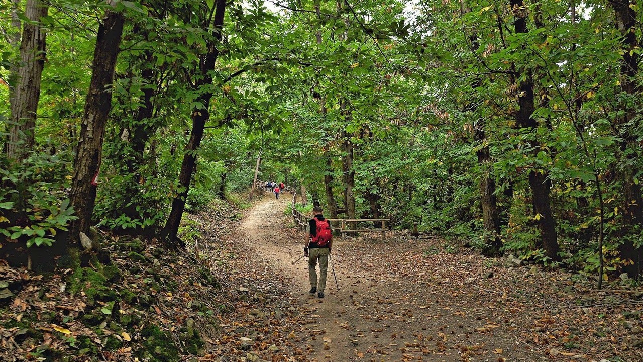 Photo of Outdoor in Teolo