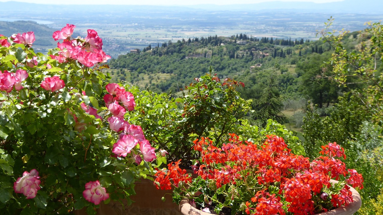 Photo of Outdoor in Cortona