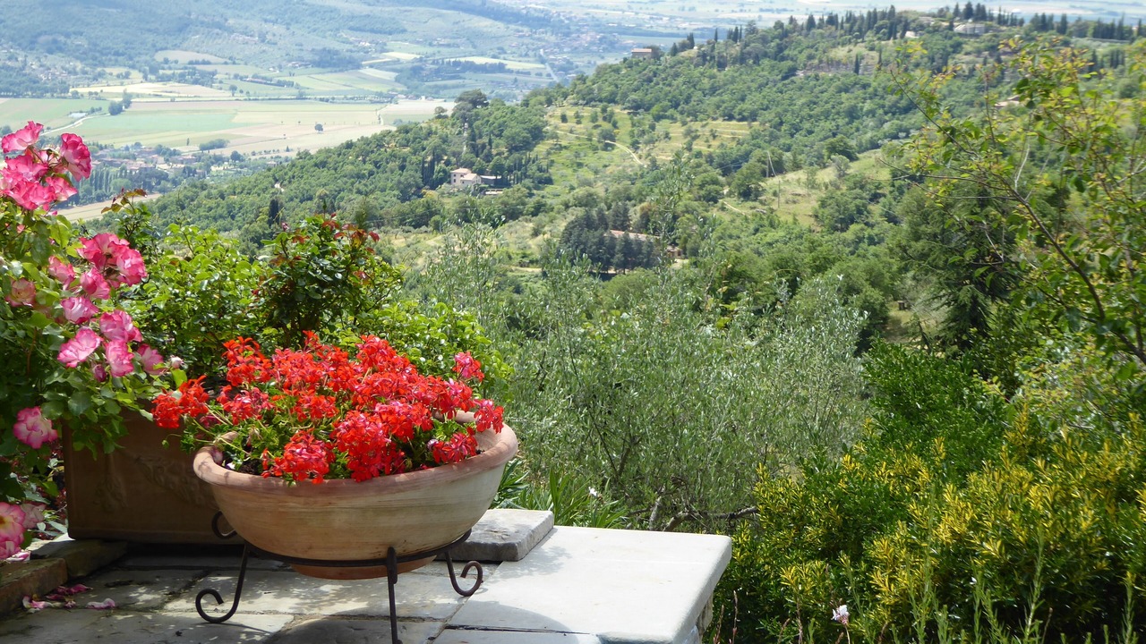 Photo of Outdoor in Cortona